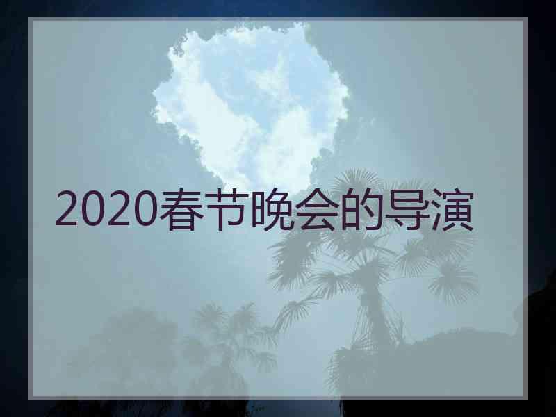 2020春节晚会的导演