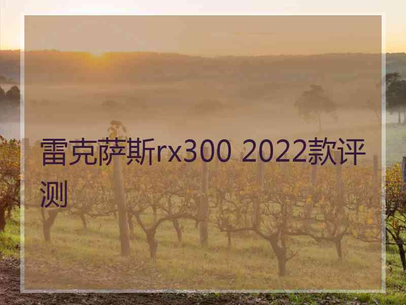 雷克萨斯rx300 2022款评测