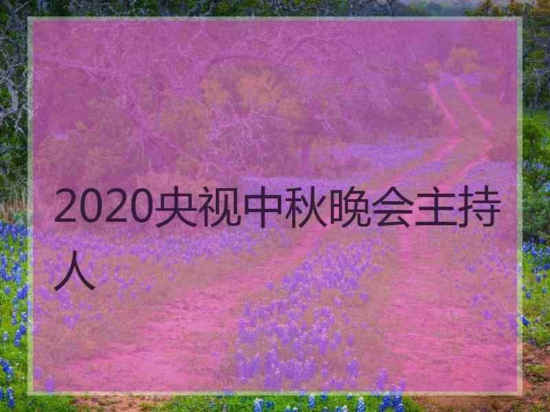 2020央视中秋晚会主持人