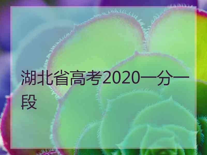 湖北省高考2020一分一段