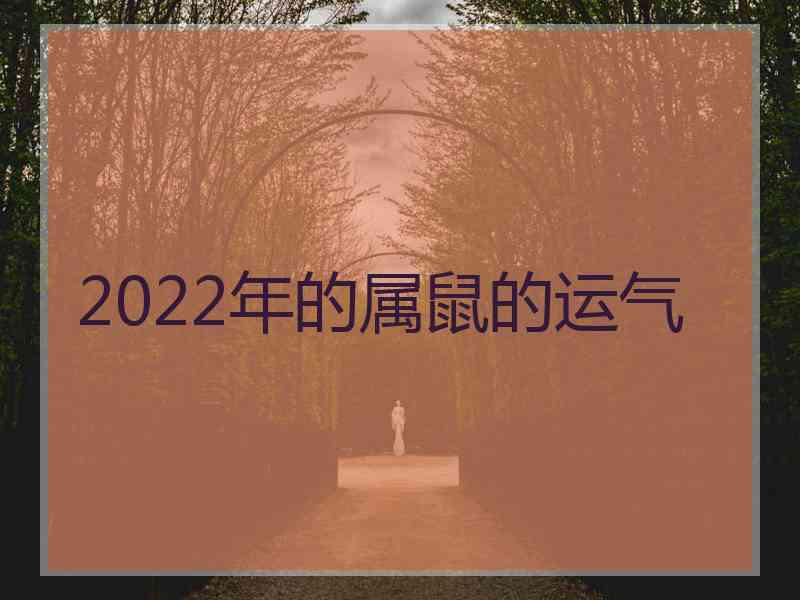 2022年的属鼠的运气