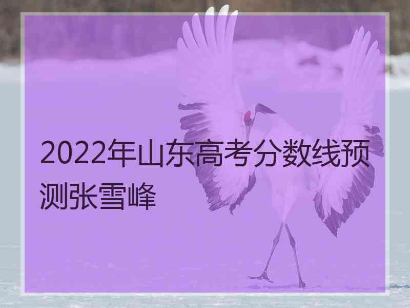 2022年山东高考分数线预测张雪峰