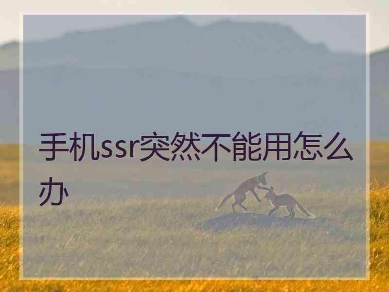 手机ssr突然不能用怎么办