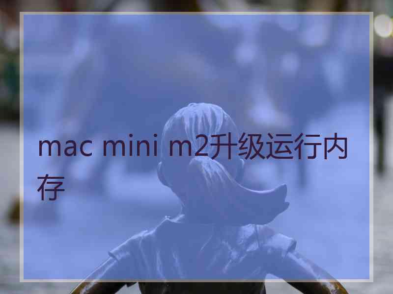 mac mini m2升级运行内存