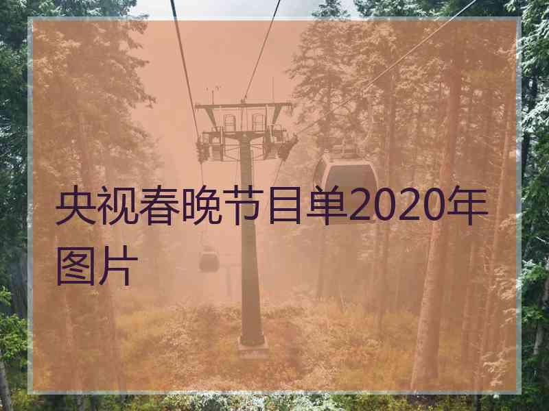 央视春晚节目单2020年图片