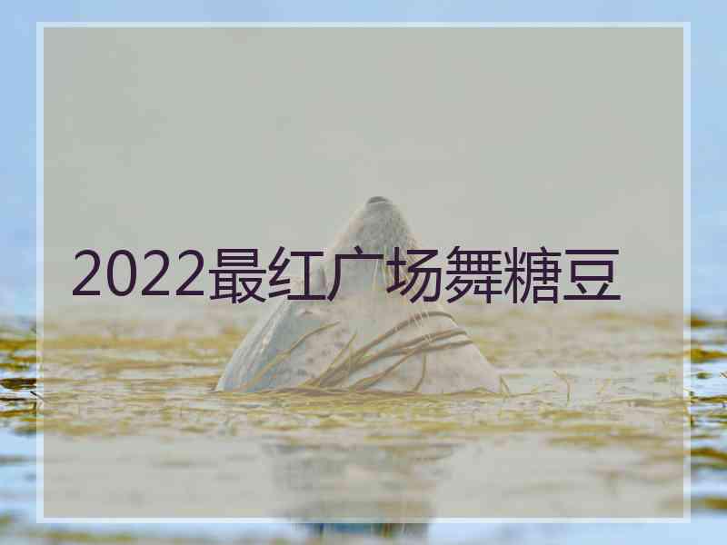 2022最红广场舞糖豆