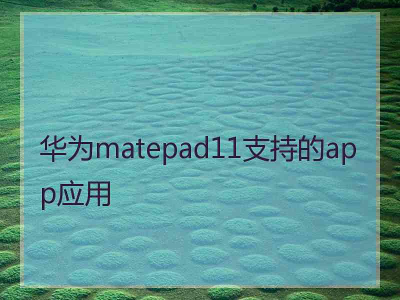 华为matepad11支持的app应用