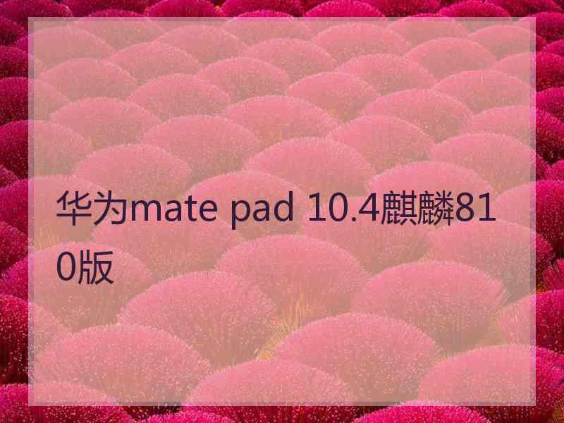 华为mate pad 10.4麒麟810版