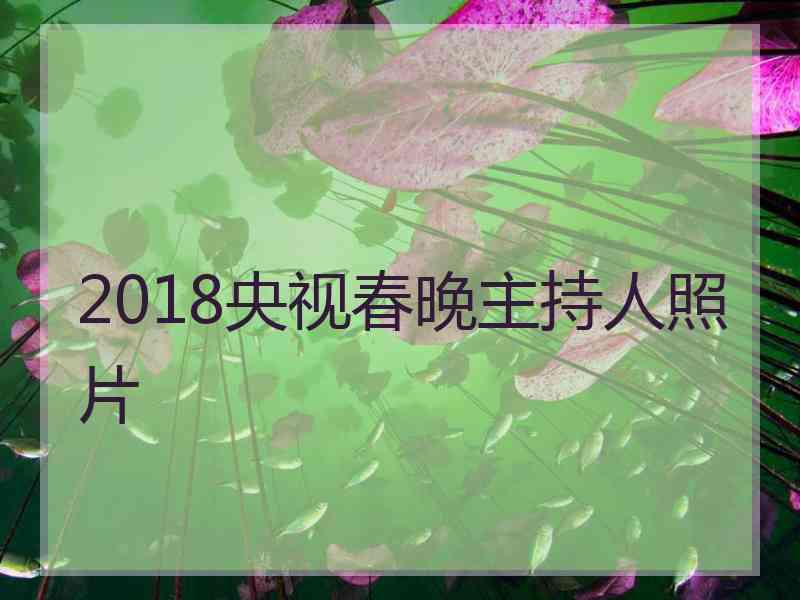 2018央视春晚主持人照片