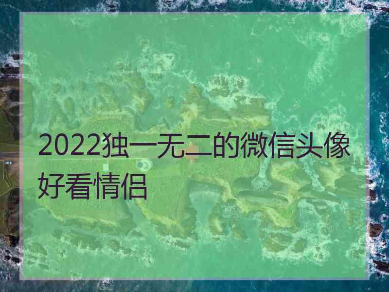 2022独一无二的微信头像好看情侣