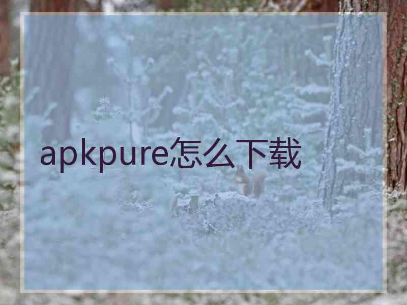 apkpure怎么下载