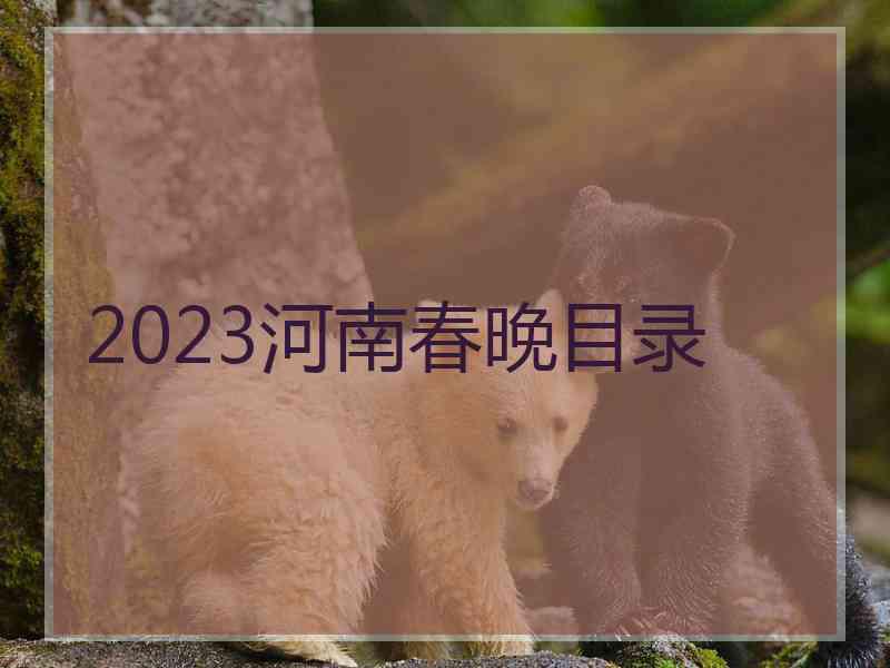 2023河南春晚目录