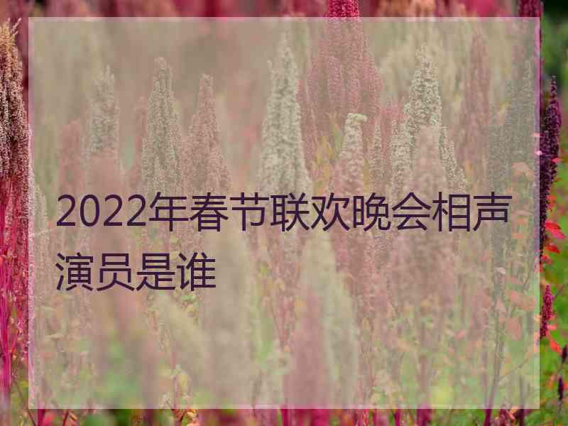 2022年春节联欢晚会相声演员是谁