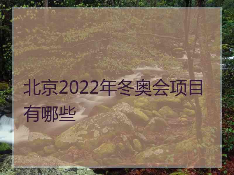 北京2022年冬奥会项目有哪些