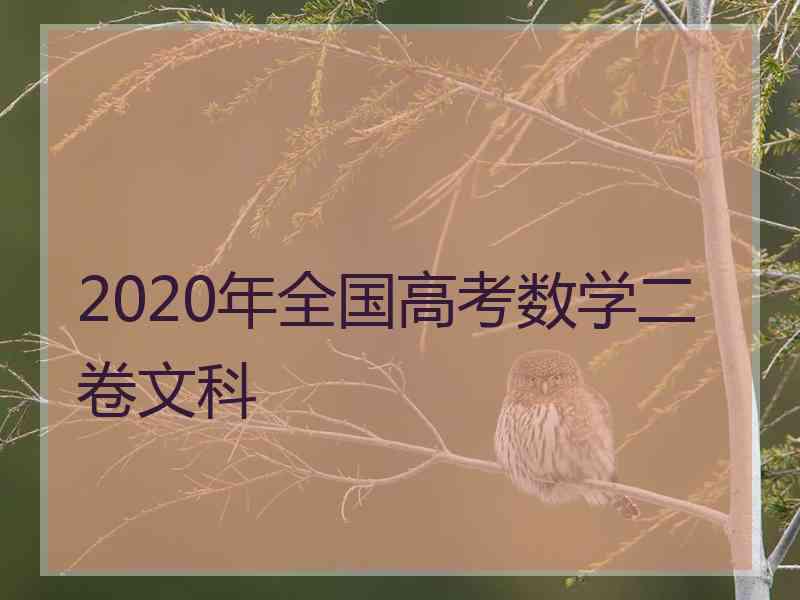 2020年全国高考数学二卷文科