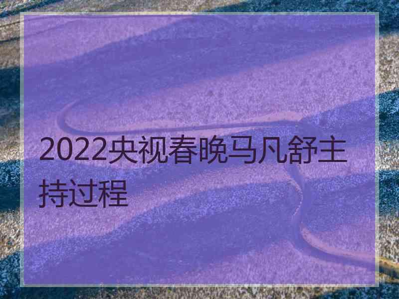 2022央视春晚马凡舒主持过程