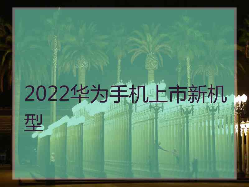 2022华为手机上市新机型