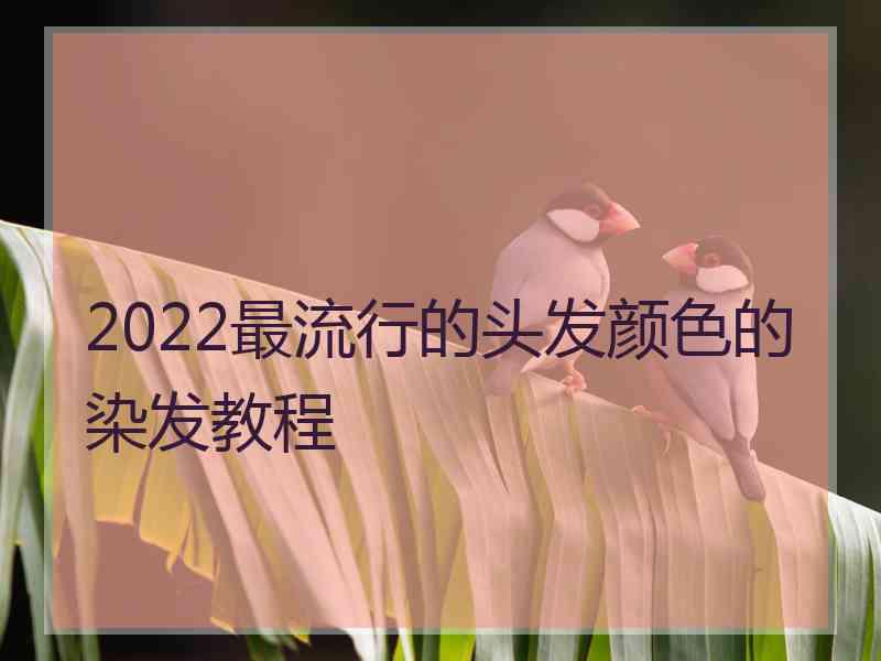 2022最流行的头发颜色的染发教程