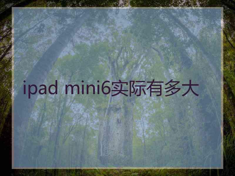 ipad mini6实际有多大