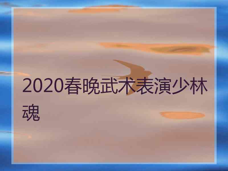 2020春晚武术表演少林魂