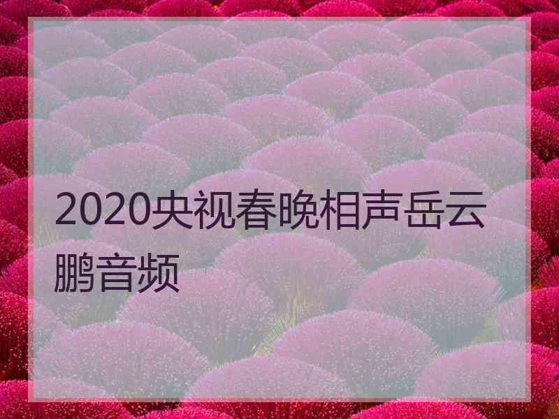 2020央视春晚相声岳云鹏音频