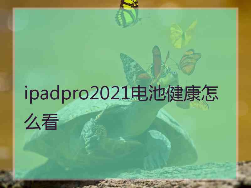 ipadpro2021电池健康怎么看