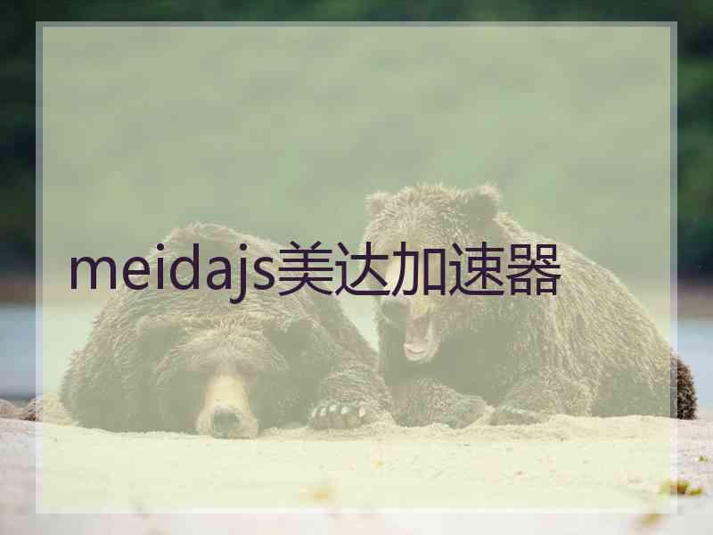 meidajs美达加速器