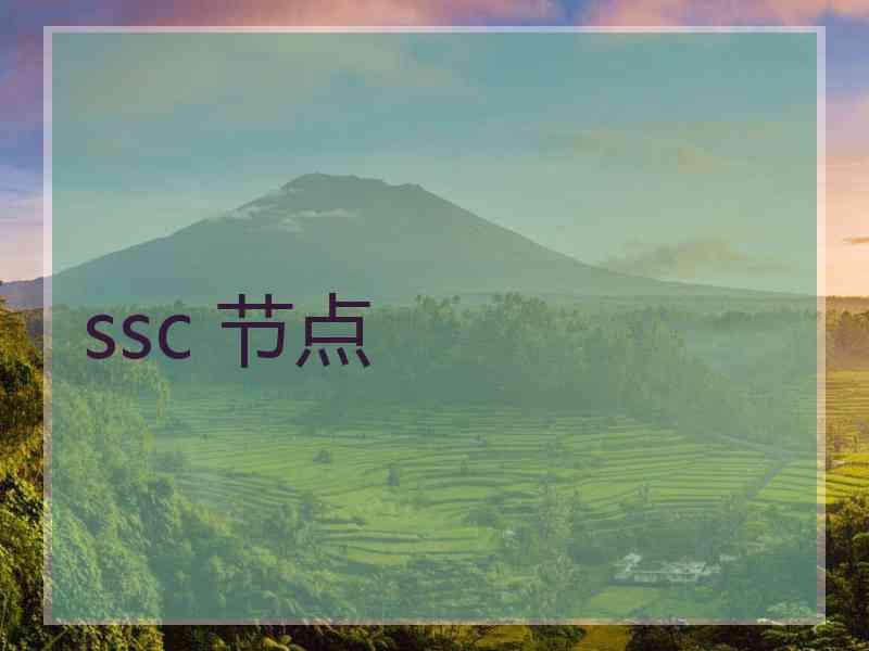 ssc 节点