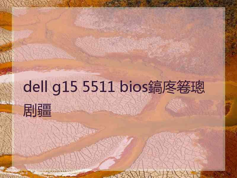 dell g15 5511 bios鎬庝箞璁剧疆