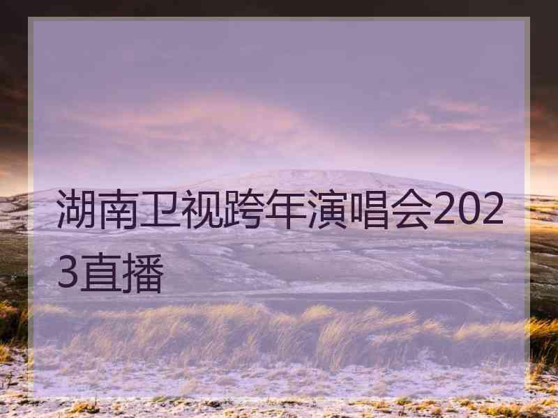 湖南卫视跨年演唱会2023直播