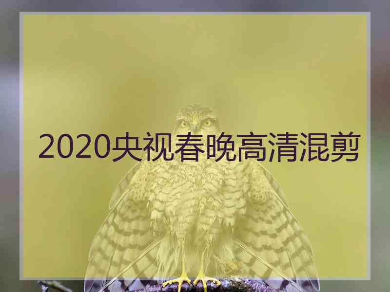 2020央视春晚高清混剪