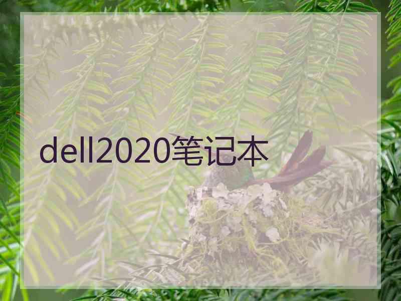 dell2020笔记本