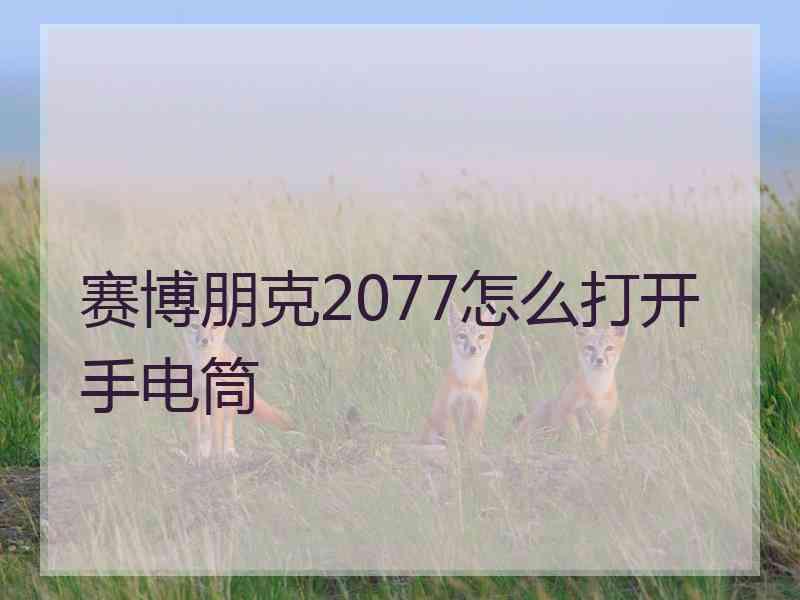 赛博朋克2077怎么打开手电筒