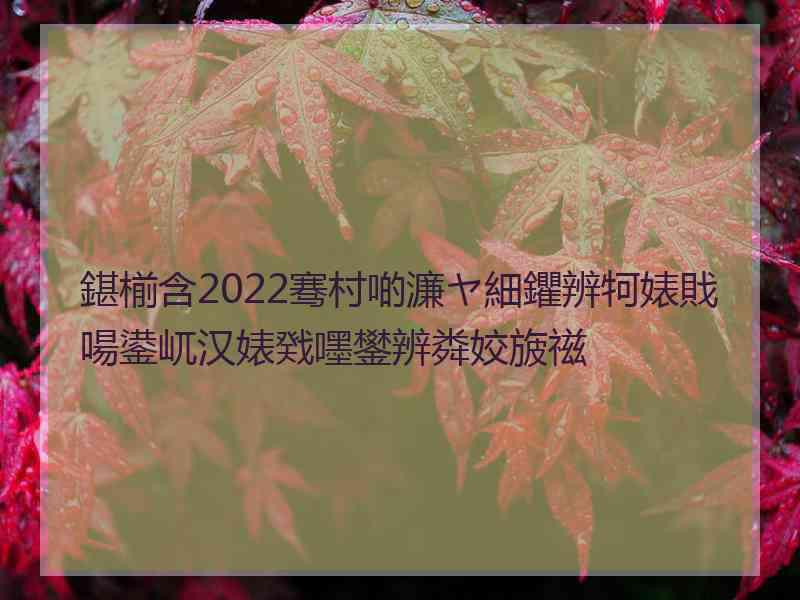 鍖椾含2022骞村啲濂ヤ細鑺辨牱婊戝啺鍙屼汉婊戣嚜鐢辨粦姣旇禌