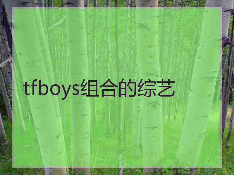 tfboys组合的综艺