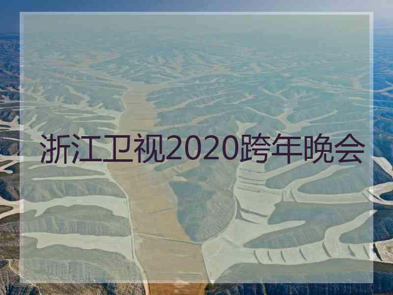 浙江卫视2020跨年晚会