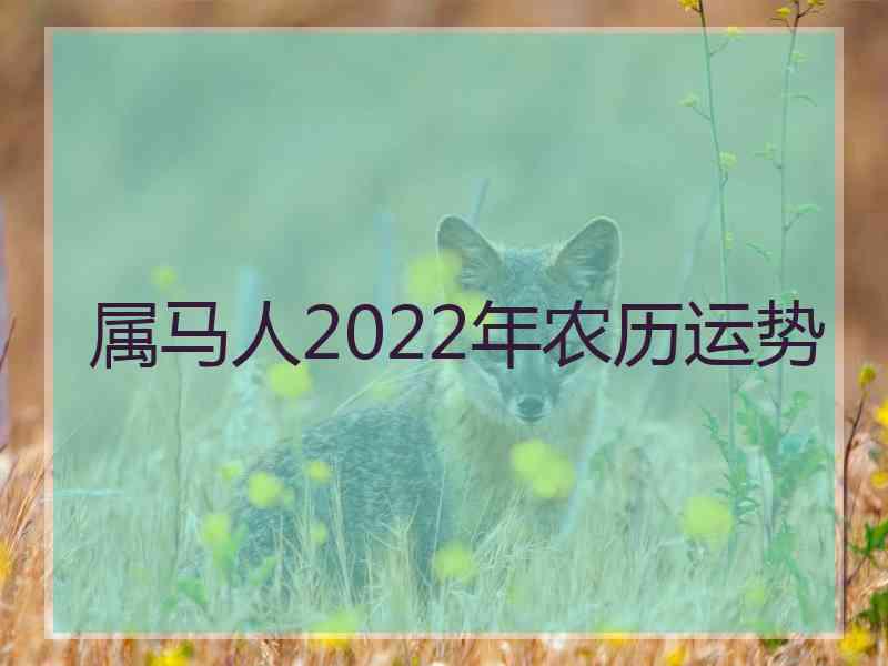 属马人2022年农历运势