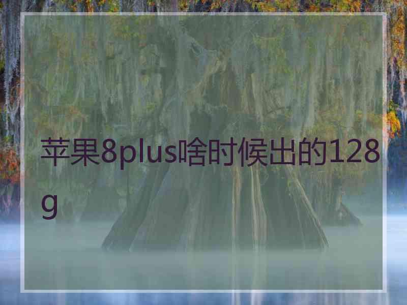 苹果8plus啥时候出的128g