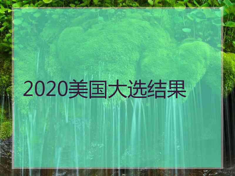 2020美国大选结果