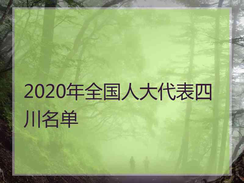 2020年全国人大代表四川名单