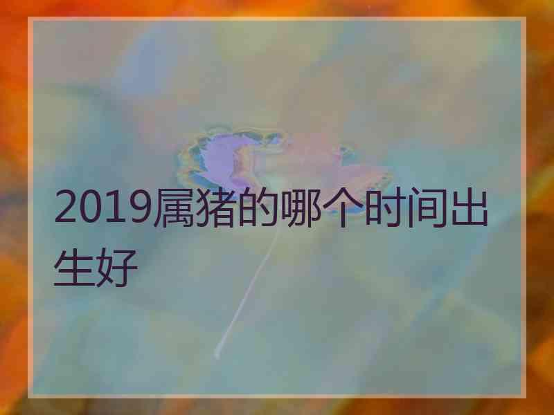 2019属猪的哪个时间出生好