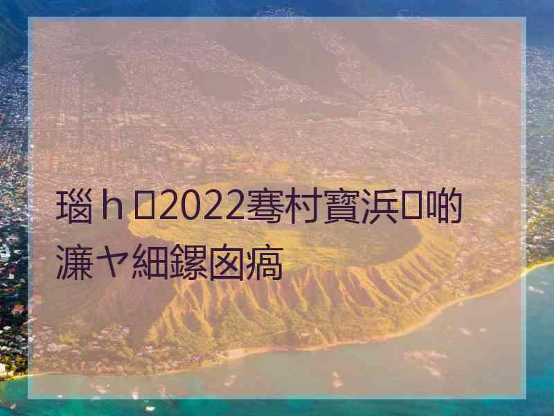 瑙ｈ2022骞村寳浜啲濂ヤ細鏍囪瘑