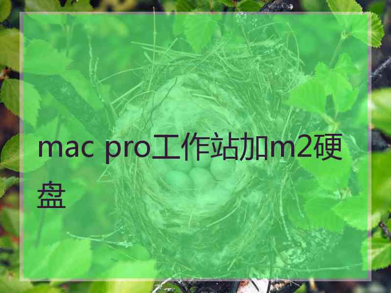 mac pro工作站加m2硬盘