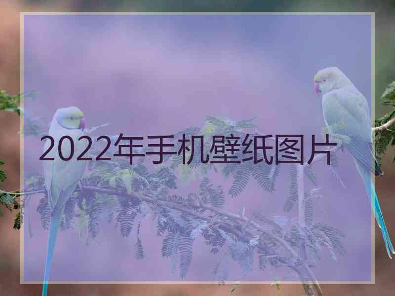 2022年手机壁纸图片