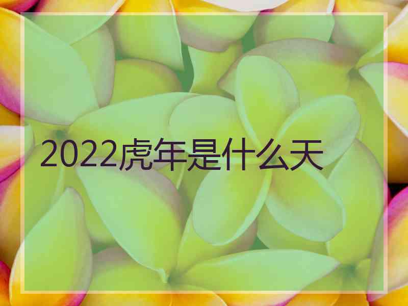 2022虎年是什么天