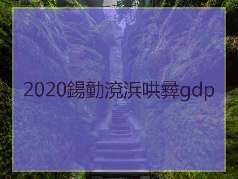 2020鍚勭渷浜哄彛gdp