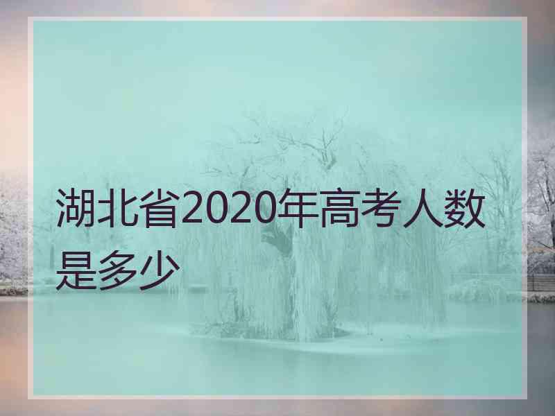 湖北省2020年高考人数是多少