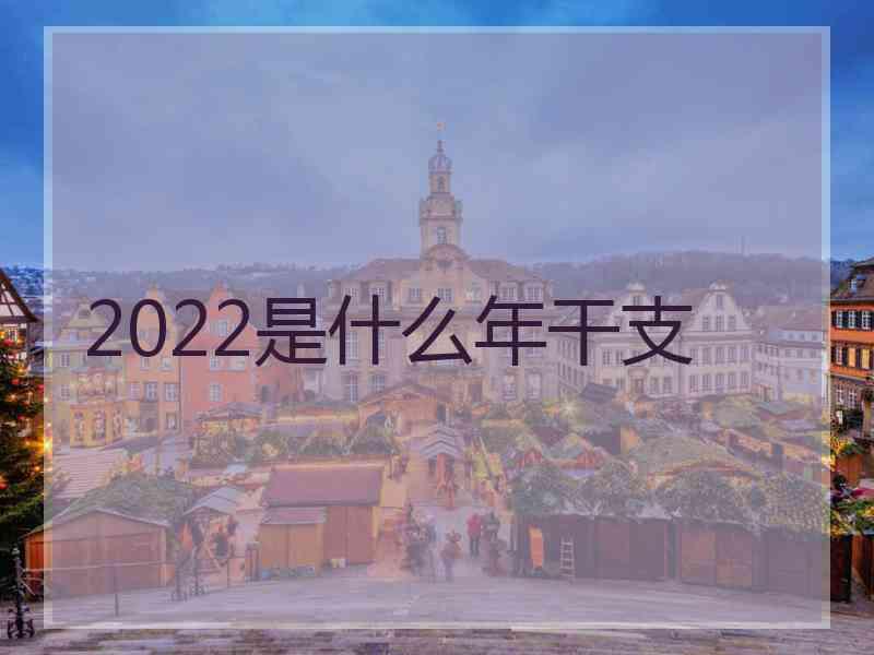 2022是什么年干支