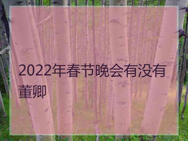 2022年春节晚会有没有董卿