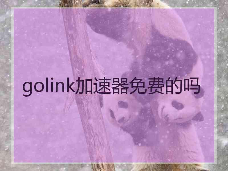 golink加速器免费的吗